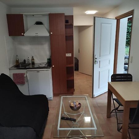 Апартаменты Deux Pieces Avec Grande Terrasse Au Calme Сен-Мартен-Везюби Экстерьер фото